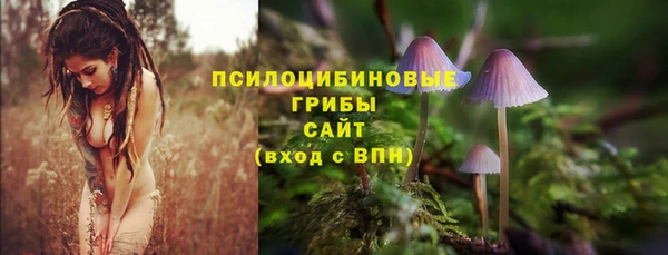 спиды Новодвинск