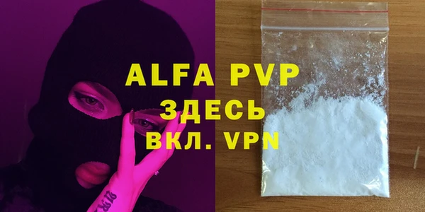 спиды Новодвинск