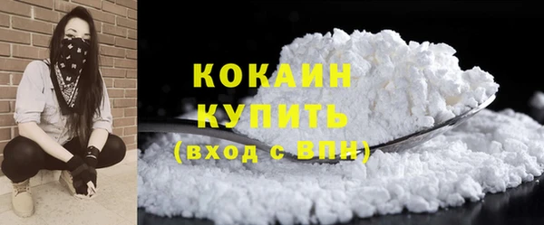 спиды Новодвинск