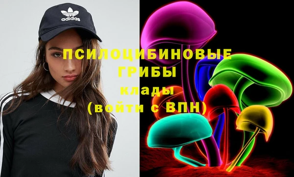 гашик Новокубанск