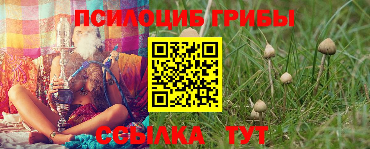 Псилоцибиновые грибы Magic Shrooms  Богданович 